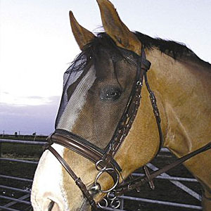 Aerborn Riding Mask - L - Black