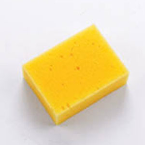 Large Sponge